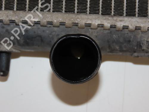 Water radiator PEUGEOT 206 Hatchback (2A/C) 1.4 HDi eco 70 | BP30691131M31