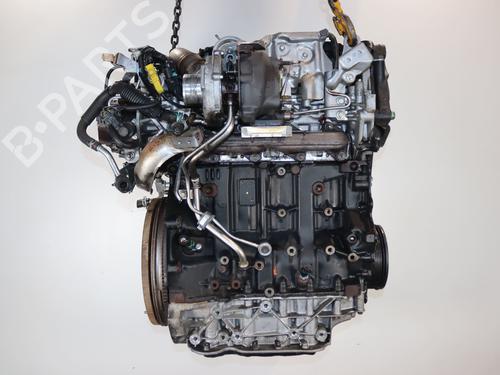 Engine RENAULT KOLEOS I (HY_) 2.0 dCi 4x4 (HY0K) | BP40051527M1 - Image 5