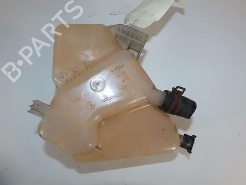 Used Expansion tank FORD FIESTA VI (CB1, CCN) 1.25 (82 hp) 24822288