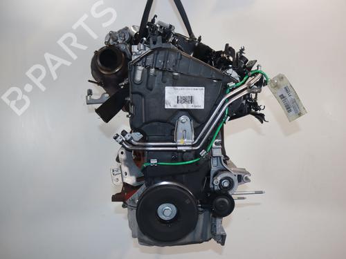 Engine RENAULT CLIO V (B7_) 1.5 Blue dCi 85 (B7AG) | BP31605481M1