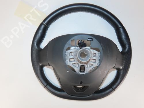 Rat RENAULT ZOE (BFM_) ZOE (BFMD) | BP30291804C49