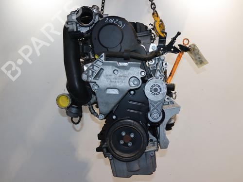 Engine AUDI A3 (8P1) 1.9 TDI | BP29819028M1