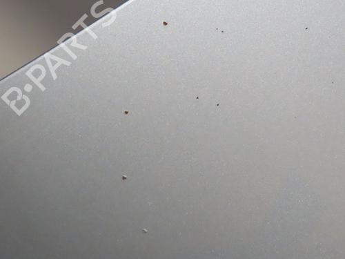 Hood PEUGEOT BOXER Van 2.2 HDi 120 | BP29740255C1 