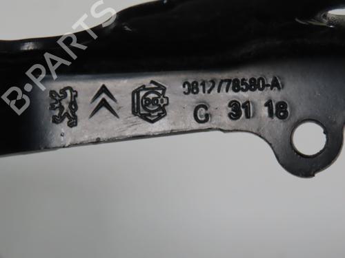 Used Hinge/Door check strap CITROËN C3 III (SX) 1.2 THP 110 (SXHNPS, SXHNZT, SXHNZ6) (110 hp) 31634616