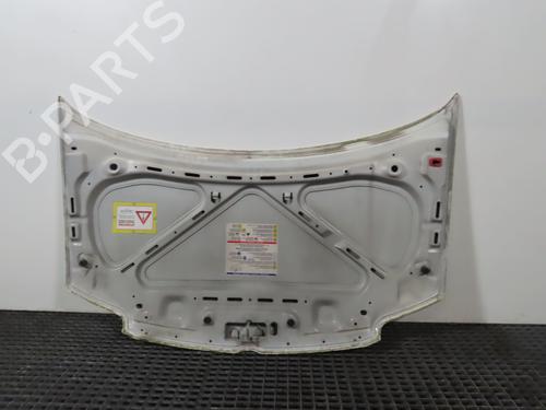 Capot FIAT PANDA (169_) 1.2 (169AXF2A, 169AXF1A) (69 hp) 16741684