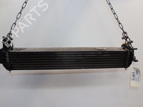 Used Other RENAULT LAGUNA III (BT0/1) 1.5 dCi (BT00, BT0A, BT0T, BT1J) (110 hp) 28712466
