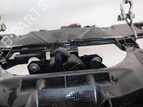 Frontplade/Frontkurv Frontplade/Frontkurv RENAULT LAGUNA III (BT0/1) 3.0 dCi (BT03, BT13) (235 hp) 37252935 37252935