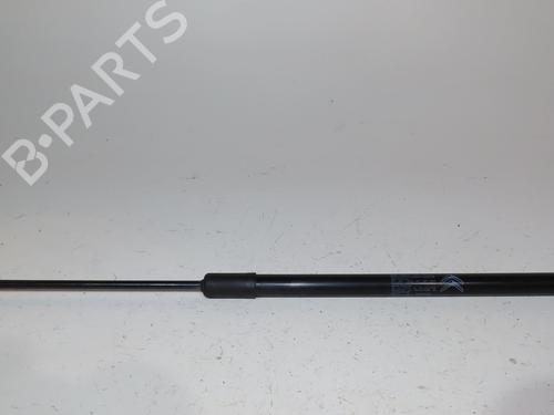 tailgate-lift-support-citroen-c5-aircross-a_-2018-23164178 main image