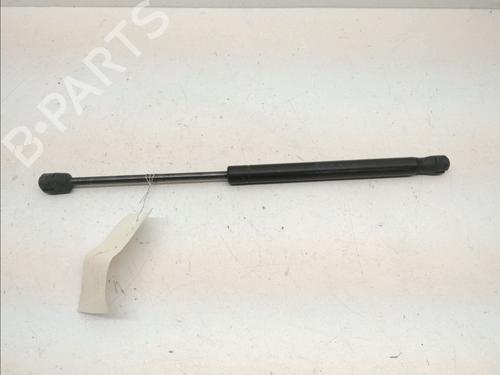 Used Hood lift support AUDI A8 D3 (4E2, 4E8) 3.0 TDI quattro (233 hp) 14960291