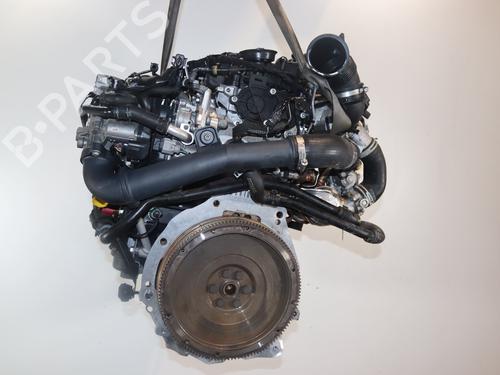 Used Engine VW GOLF VII (5G1, BQ1, BE1, BE2) 1.6 TDI (110 hp) 31325347