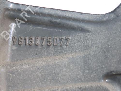 Fælk CITROËN C3 III (SX) 1.2 VTi 82 (82 hp) 25611110