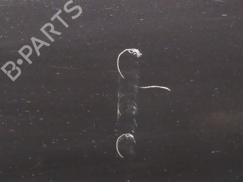 Dør venstre bagtil JEEP COMPASS (MK49) 2.0 CRD 4x4 (140 hp) 27510170