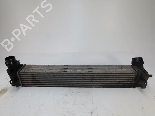 Used Other RENAULT SCÉNIC III (JZ0/1_) 1.9 dCi (JZ0J, JZ1J, JZ1K, JZ1S) (131 hp) 24601325