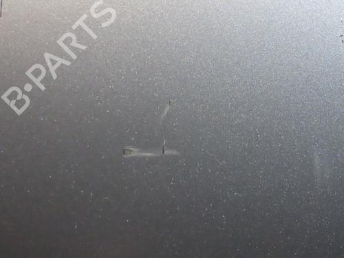Used Left front door SKODA FABIA II (542) 1.6 TDI (75 hp) 24488655