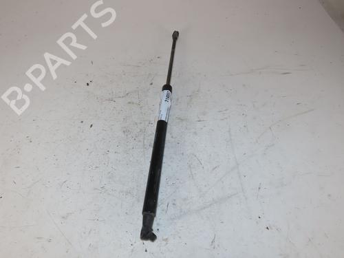 Tailgate lift support VOLVO C30 (533) D2 | BP29621835C138