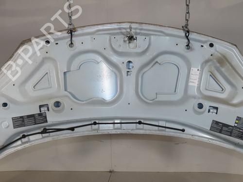 Panser RENAULT TWINGO II (CN0_) 1.2 16V (CN04, CN0B) (75 hp) 29442409