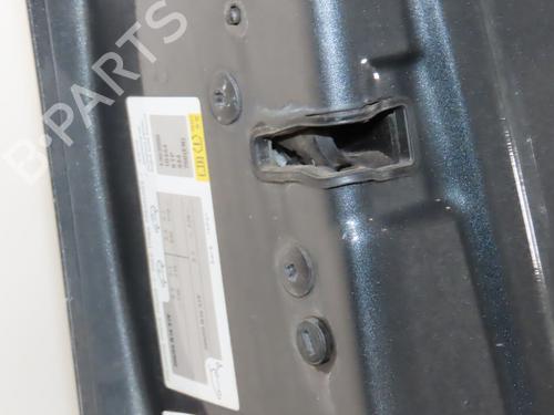 Left front door CITROËN C4 II (NC_) 1.6 HDi 115 | BP31140897C2