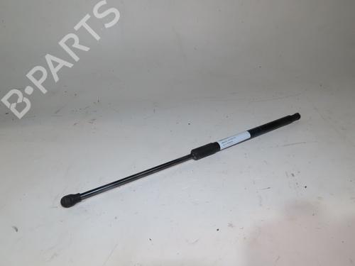 Tailgate lift support RENAULT CLIO V (B7_) 1.5 Blue dCi 115 (B7AD) | BP20846201C138