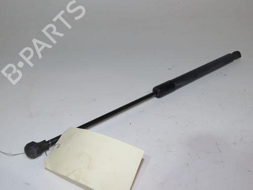 hood-lift-support-dacia-sandero-ii-2012-23162369 main image