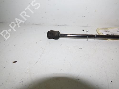 Tailgate lift support CITROËN C3 I (FC_, FN_) 1.6 16V HDi | BP16782123C138 