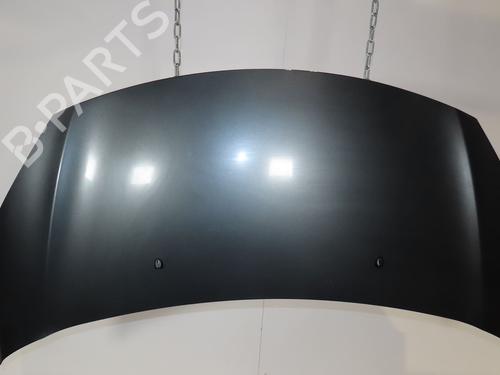 hood-citroen-c3-ii-sc_-2009-24488305 main image