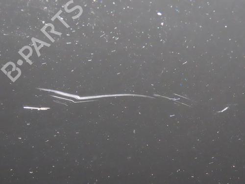 Used Left front door KIA SPORTAGE III (SL) 1.7 CRDi (116 hp) 29293920