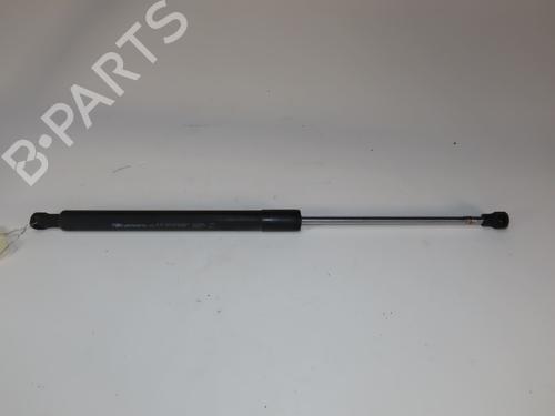 Used Tailgate lift support RENAULT CLIO III (BR0/1, CR0/1) 1.2 16V (103 hp) 17552789