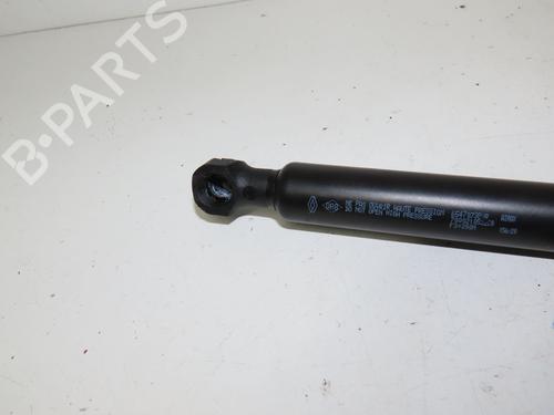 Hood lift support RENAULT ZOE (BFM_) ZOE (BFMC, BFMD) | BP17136356C139