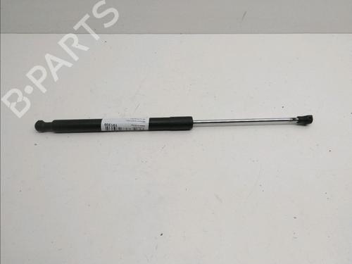 Used Tailgate lift support RENAULT CLIO III (BR0/1, CR0/1) 1.5 dCi (C/BR0G, C/BR1G) (68 hp) 14898837