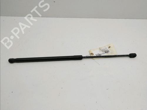 Used Tailgate lift support FORD FIESTA VI (CB1, CCN) 1.4 TDCi (68 hp) 14899469