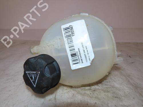 Used Expansion tank PEUGEOT 208 II (UB_, UP_, UW_, UJ_) 1.5 BlueHDI 100 (102 hp) 19061619