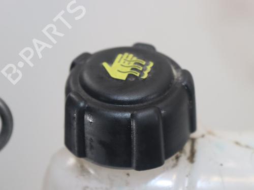 Ekspansjonstank NISSAN QASHQAI II (J11, J11_) 1.2 DIG-T (115 hp) 31865553