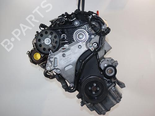 Engine VW GOLF VI (5K1) 1.6 TDI | BP31961583M1