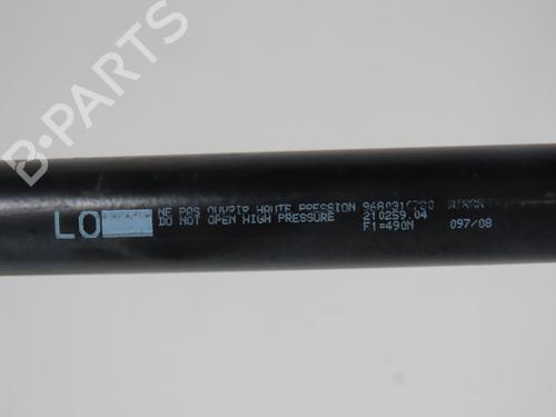 Tailgate lift support PEUGEOT 207 (WA_, WC_) 1.6 HDi | BP32179517C138