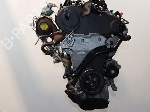 Engine VW BEETLE (5C1, 5C2) 1.6 TDI | BP24486178M1