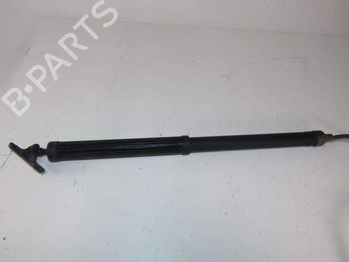 tailgate-lift-support-toyota-rav-4-v-_a5_-_h5_-2018-33058989 main image