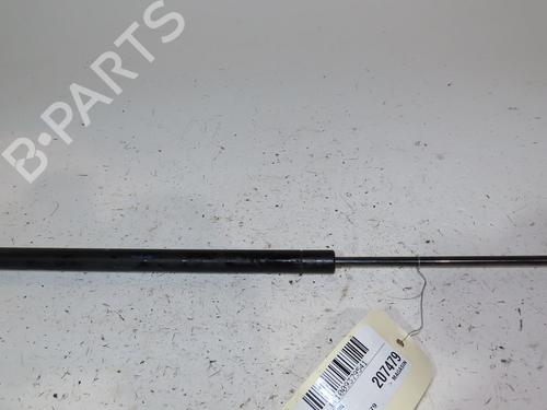 Used Tailgate lift support RENAULT SCÉNIC II (JM0/1_) 1.5 dCi (JM1F) (86 hp) 23164209