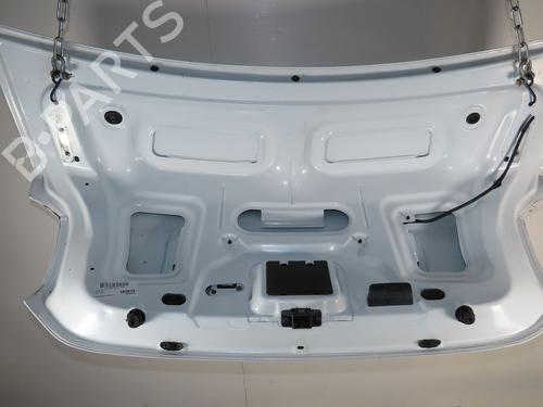 Used Tailgate DACIA LOGAN II 1.5 dCi / Blue dCi 75 (75 hp) 29516620