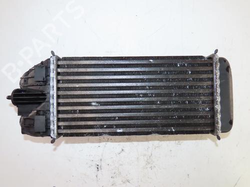 Intercooler NISSAN INTERSTAR Van (X70) dCi 80 | BP33835752M30 - Image 2