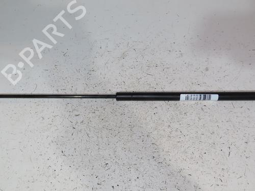 Used Tailgate lift support NISSAN JUKE (F15) 1.6 (117 hp) 24489419
