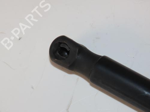 Tailgate lift support CITROËN C4 Picasso I MPV (UD_) 1.6 HDi | BP29963055C138 