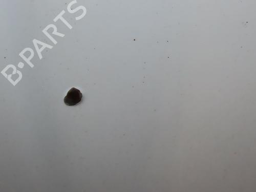 Hood FIAT 500 (312_) 1.2 (312AXA1A) | BP26917301C1 