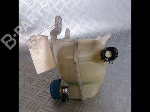 Expansion tank FIAT GRANDE PUNTO (199_) 1.4 (199AXB11, 199AXB1A, 199BXB1A, 199AXL1A) | BP9008188C120