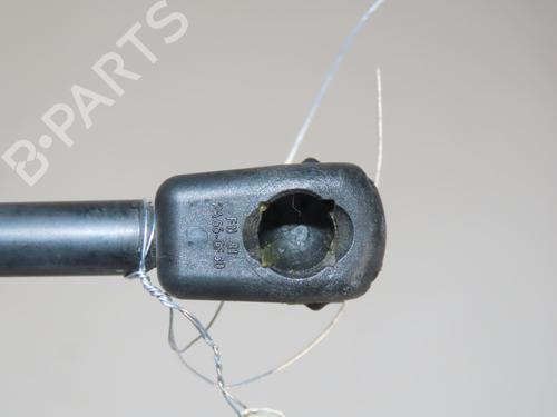 tailgate-lift-support-citroen-c4-grand-picasso-ii-da_-de_-2013-31055509 main image