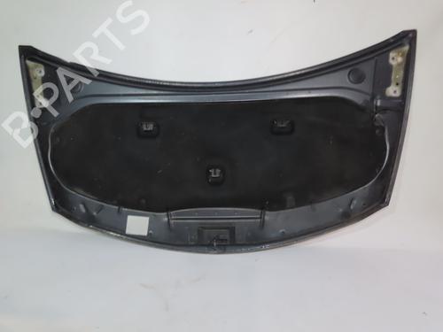 Hood RENAULT CLIO III (BR0/1, CR0/1) 1.5 dCi (BR17, CR17) | BP18954036C1 