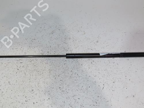 Used Tailgate lift support NISSAN JUKE (F15) 1.6 (117 hp) 24489396