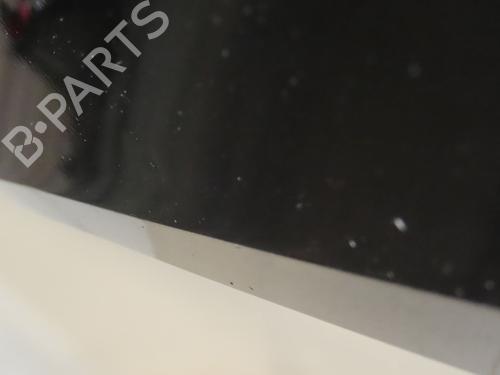 Used Right front door RENAULT CLIO III (BR0/1, CR0/1) 1.5 dCi (BR17, CR17) (86 hp) 29155875