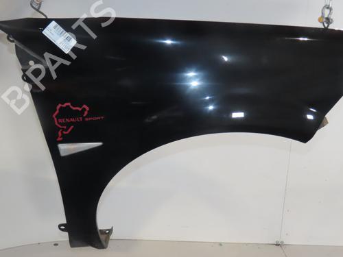 Used Right front fenders RENAULT MEGANE II (BM0/1_, CM0/1_) 2.0 dCi (173 hp) 29137152