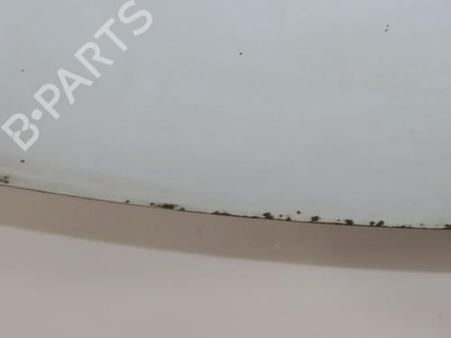 Used Hood PEUGEOT PARTNER Box Body/MPV 1.6 HDi (90 hp) 27246208