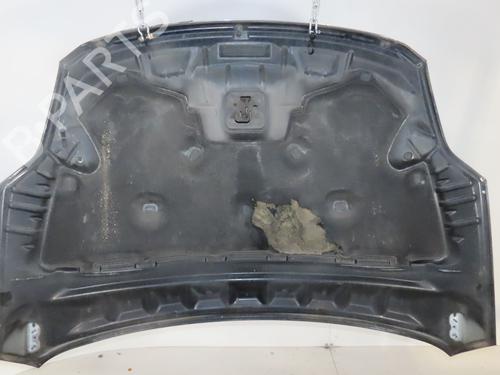 Hood FORD KUGA I 2.0 TDCi | BP29196355C1 